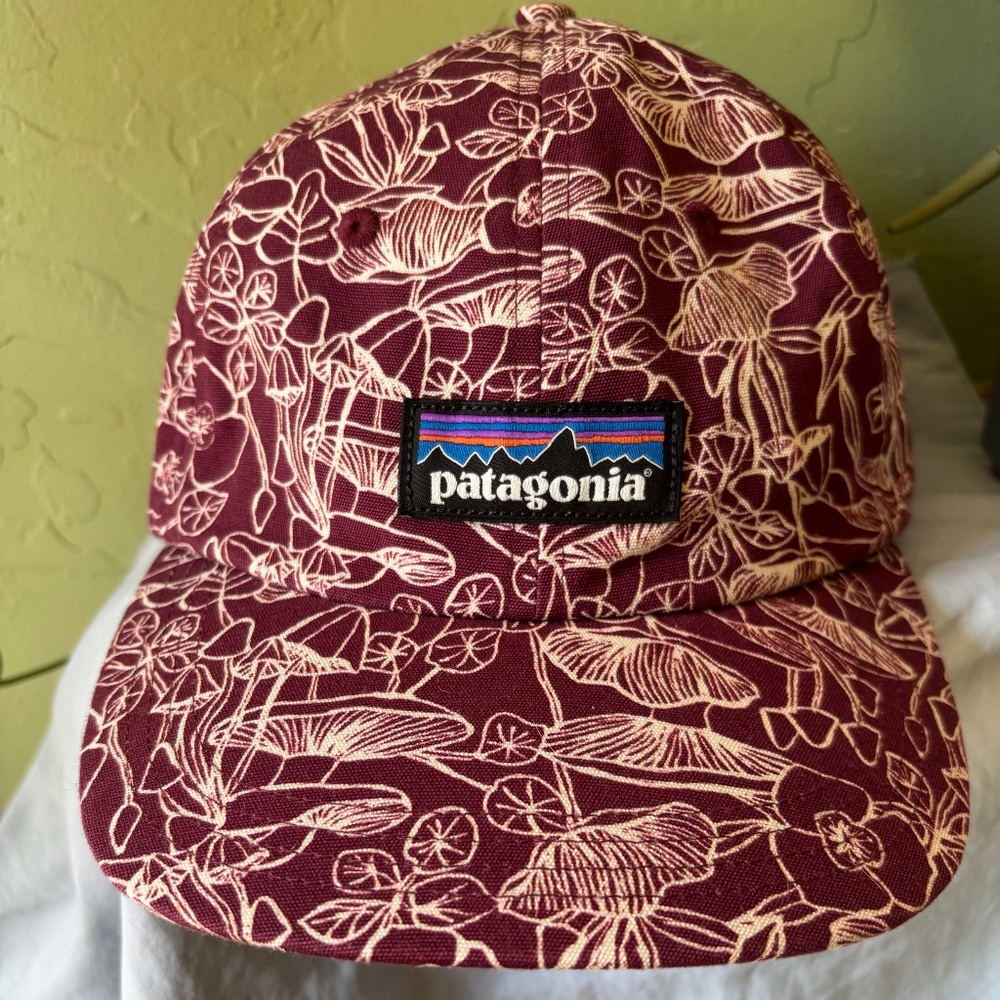 Patagonia P-6 Trad Cap- Mushrooms; Fall 2022